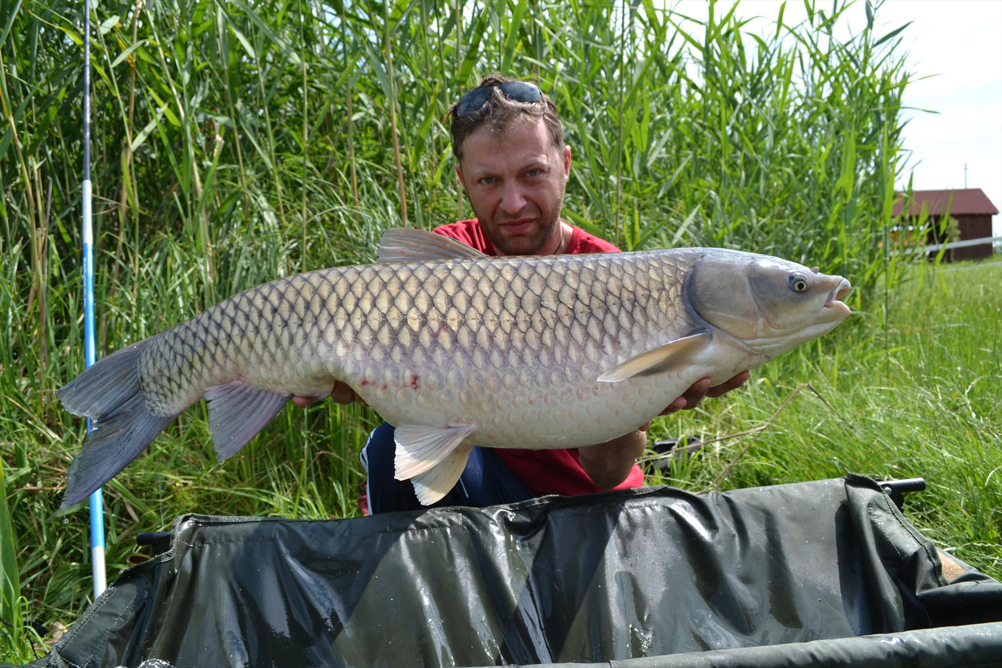 Pescuit Balta Lazar 6-8 iunie 2014 - dsc0062.JPG